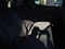 2012 Chevrolet Equinox LT w/1LT