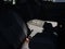 2012 Chevrolet Equinox LT w/1LT