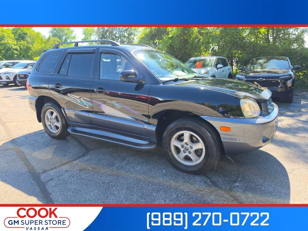 2003 Hyundai Santa Fe LX