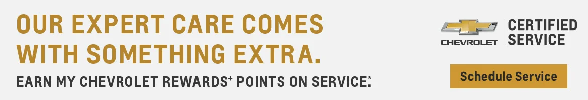 Our expert care comes with something extra - schedule service